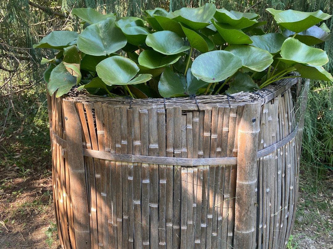 Bambous En Provence-Eyragues必去景点