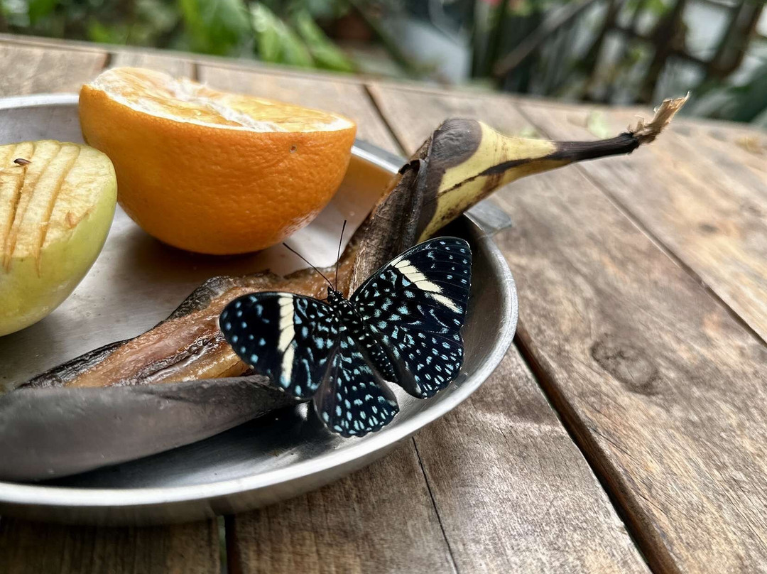 Lakeland Wildlife Oasis-Milnthorpe必去景点