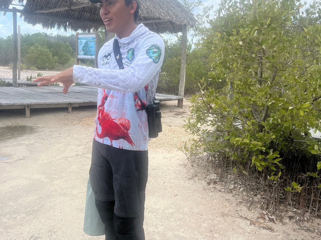 Guardianes De Los Manglares De Dzinintún-塞莱斯顿必去景点