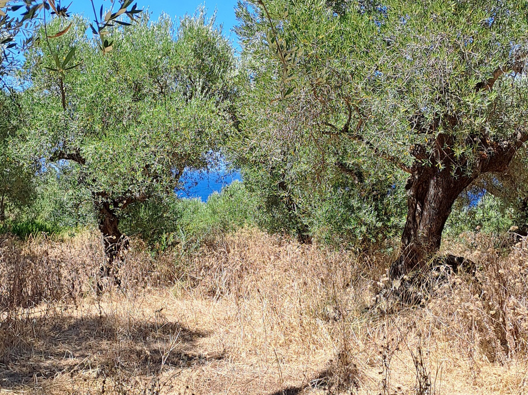 Zakynthos Hotel主图