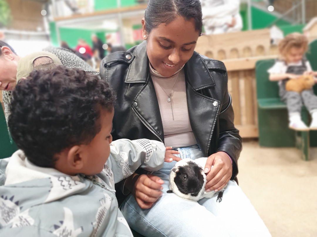 Willows Activity Farm-London Colney必去景点