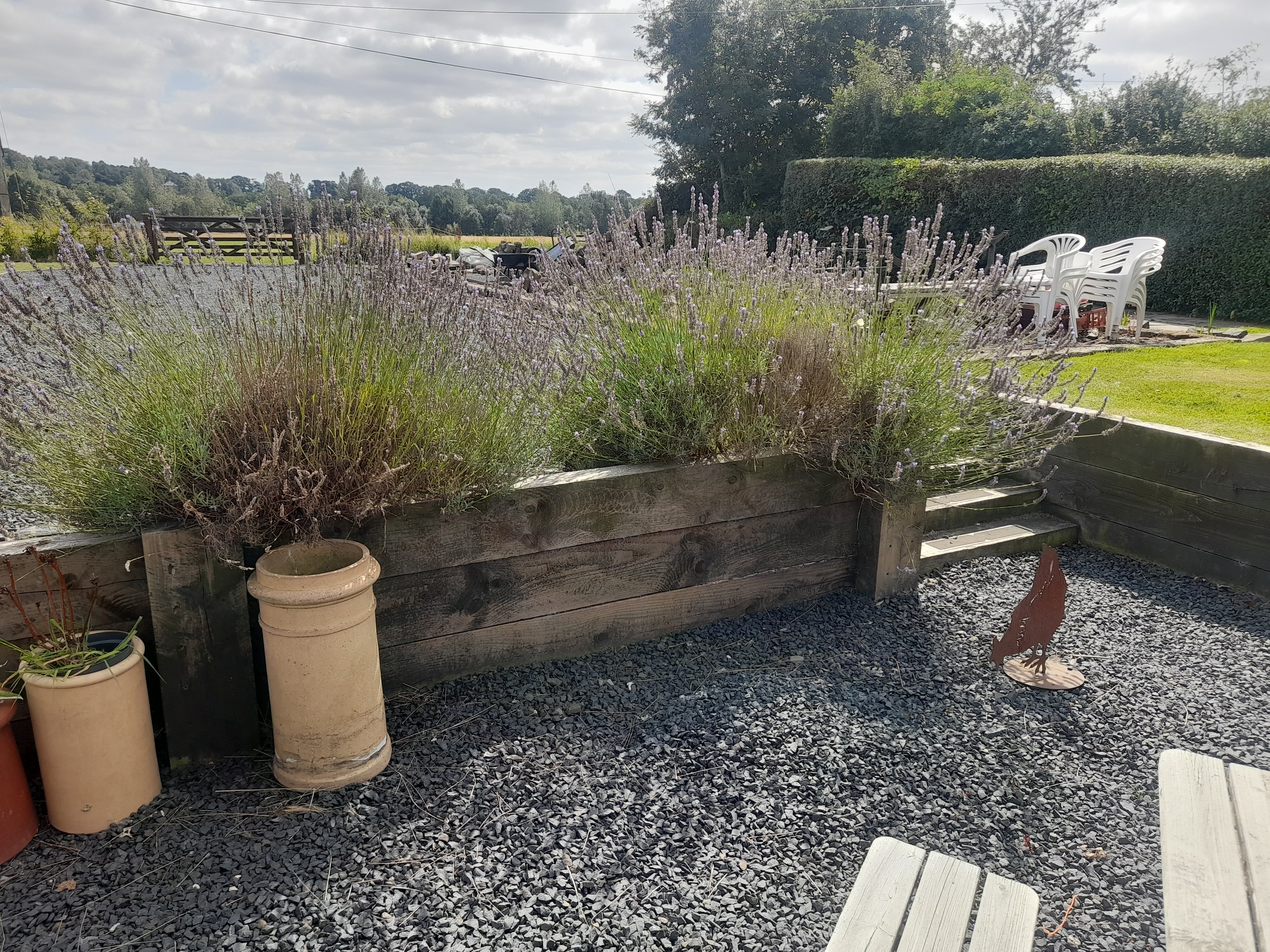 The Plough Inn Leitholm B&B-官方