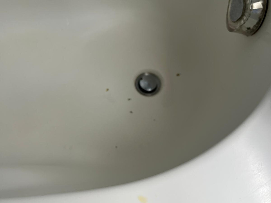 B&B Villa Norma主图