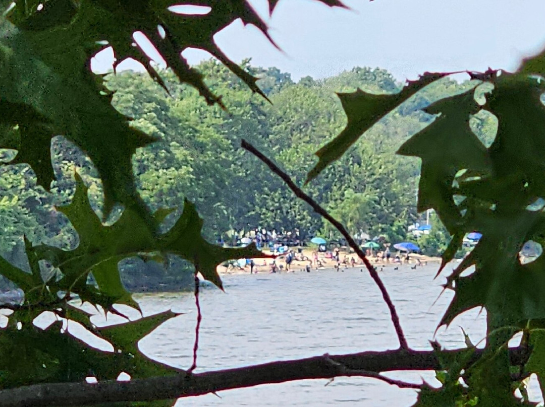 Rocky Point Beach and Park-Essex必去景点