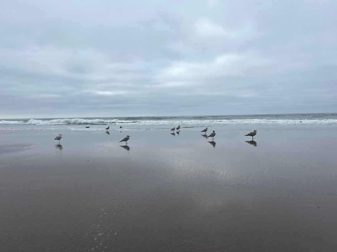 Whitby Beach-惠特比必去景点