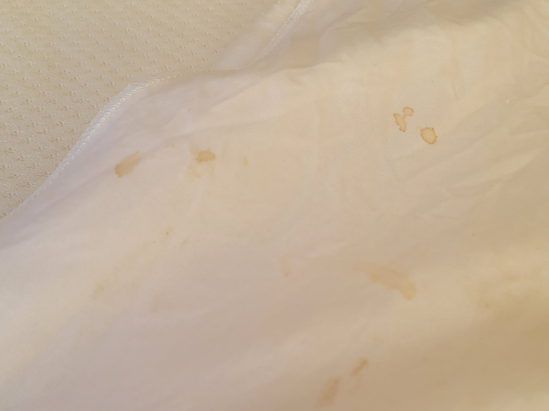 The Winston Guesthouse主图