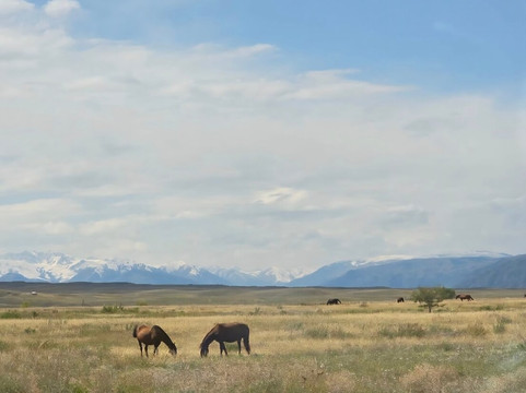 Umai Travel-阿拉木图必去景点