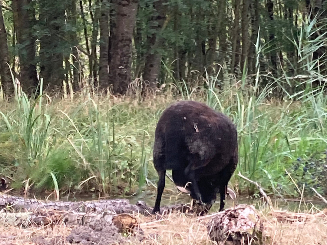 La Riviere de Chauvignac-Chenac-Saint-Seurin-d'Uzet必去景点