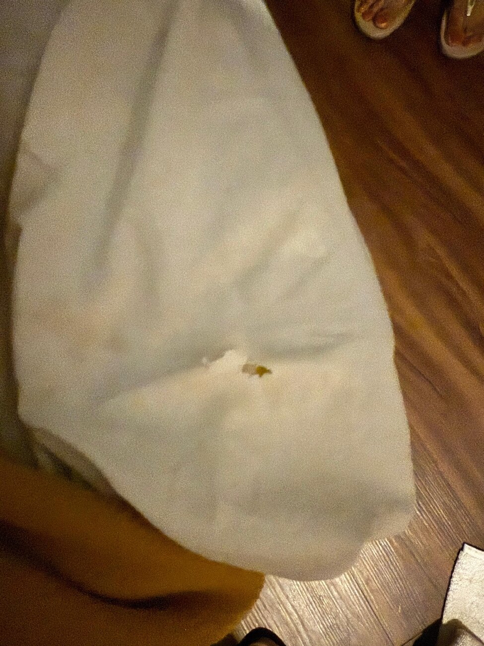 Mascot Beach Resort-官方