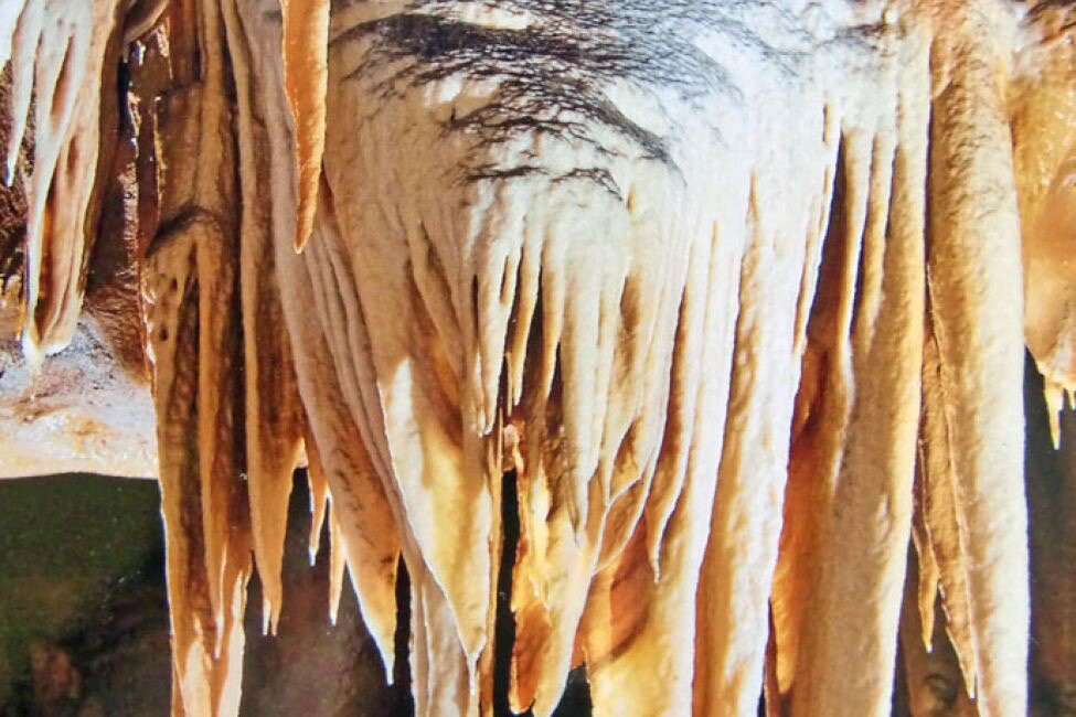 Grottes d'Isturitz & Oxocelhaya-Saint-Martin-d'Arberoue必去景点