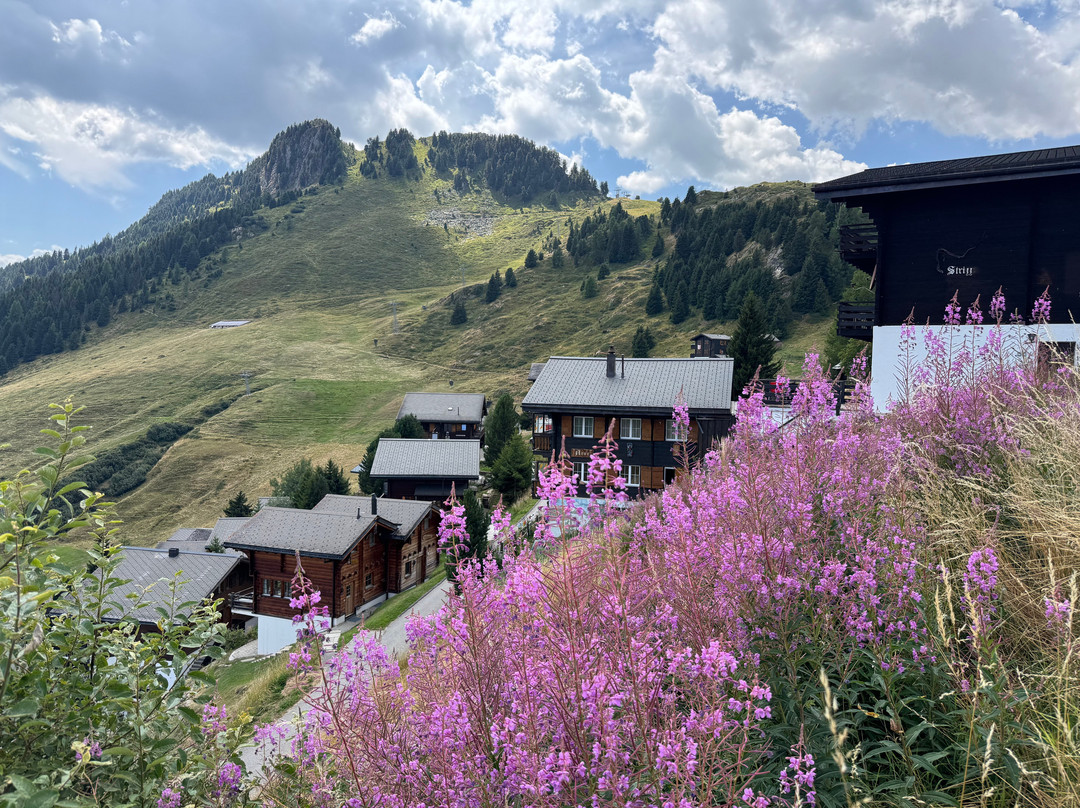 Boutique Und Bier Hotel des Alpes主图