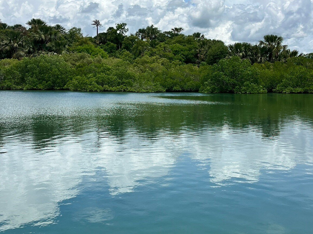 Papa Kit's Marina and Fishing Lagoon-宿雾必去景点