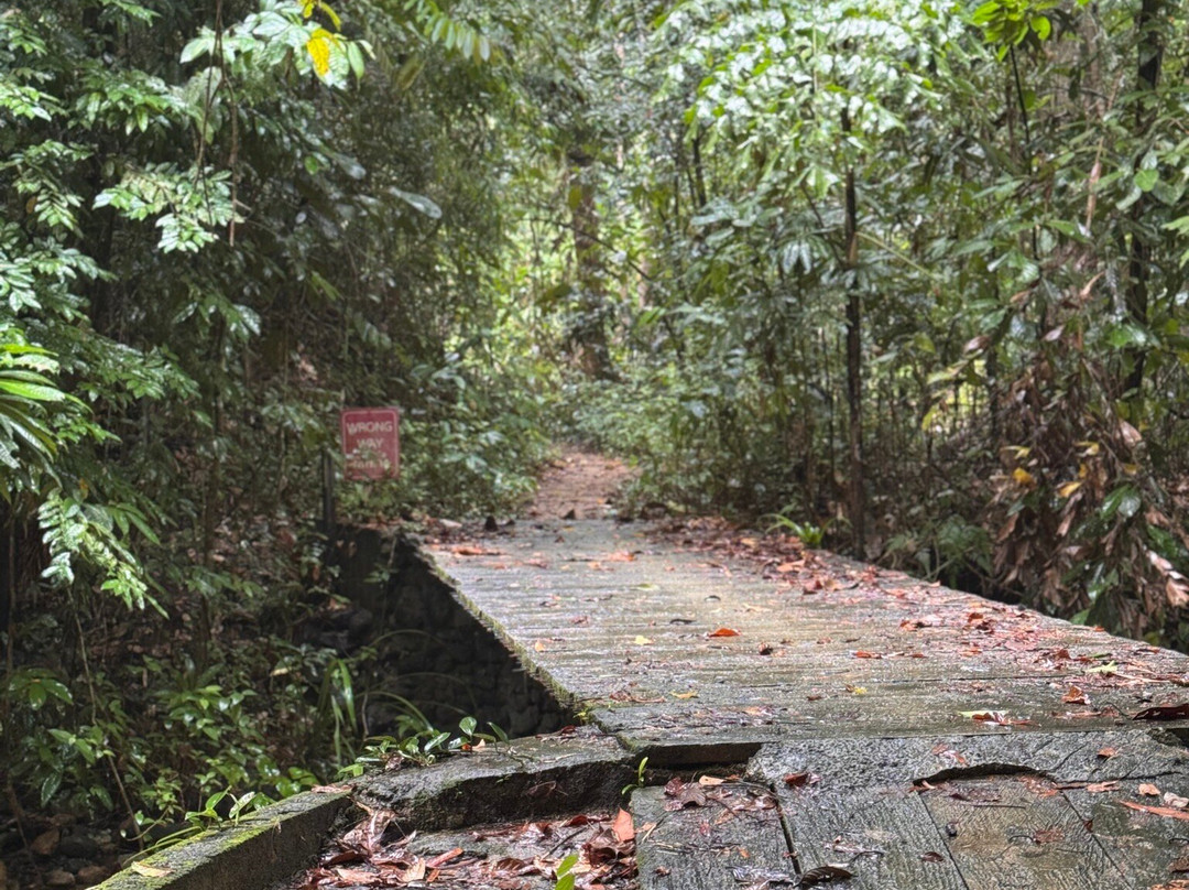 Ton Chong Fa Waterfall-拉克山必去景点