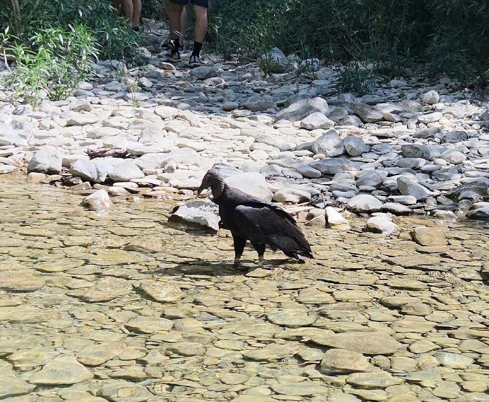 Cânion Do Rio Salobra-Bodoquena必去景点