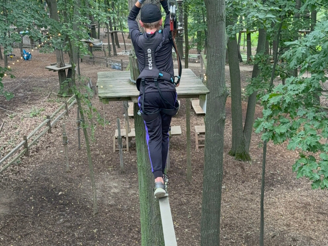 TreeRunner West Bloomfield Adventure Park-西布鲁姆菲尔德必去景点