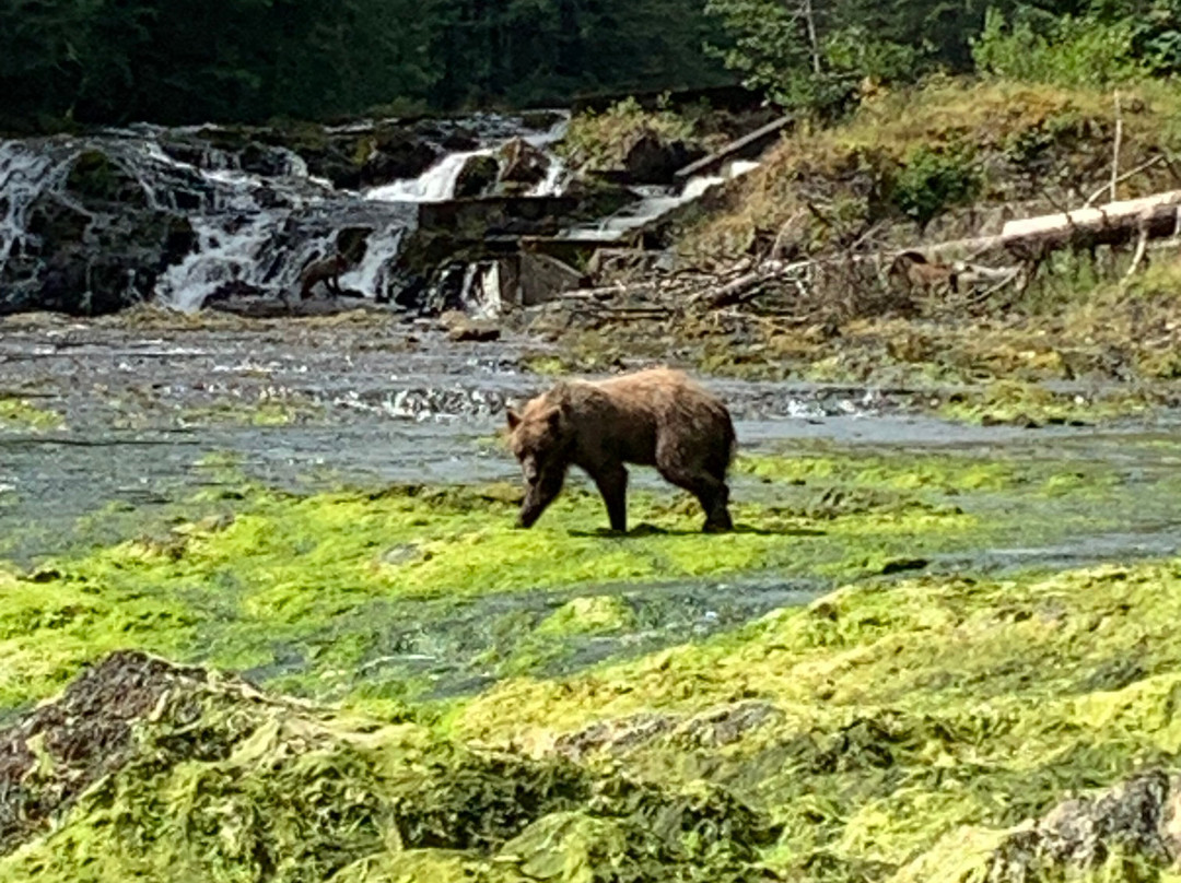 Viking Travel, Inc.-Petersburg必去景点