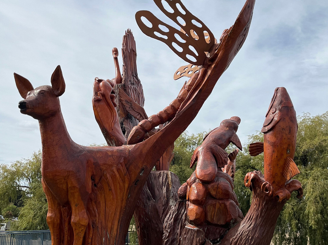 Blackburn Park-坎贝尔镇必去景点