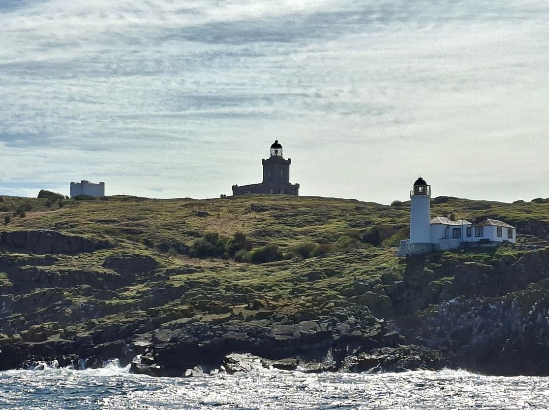 Isle Of May Boat Trips-Anstruther必去景点