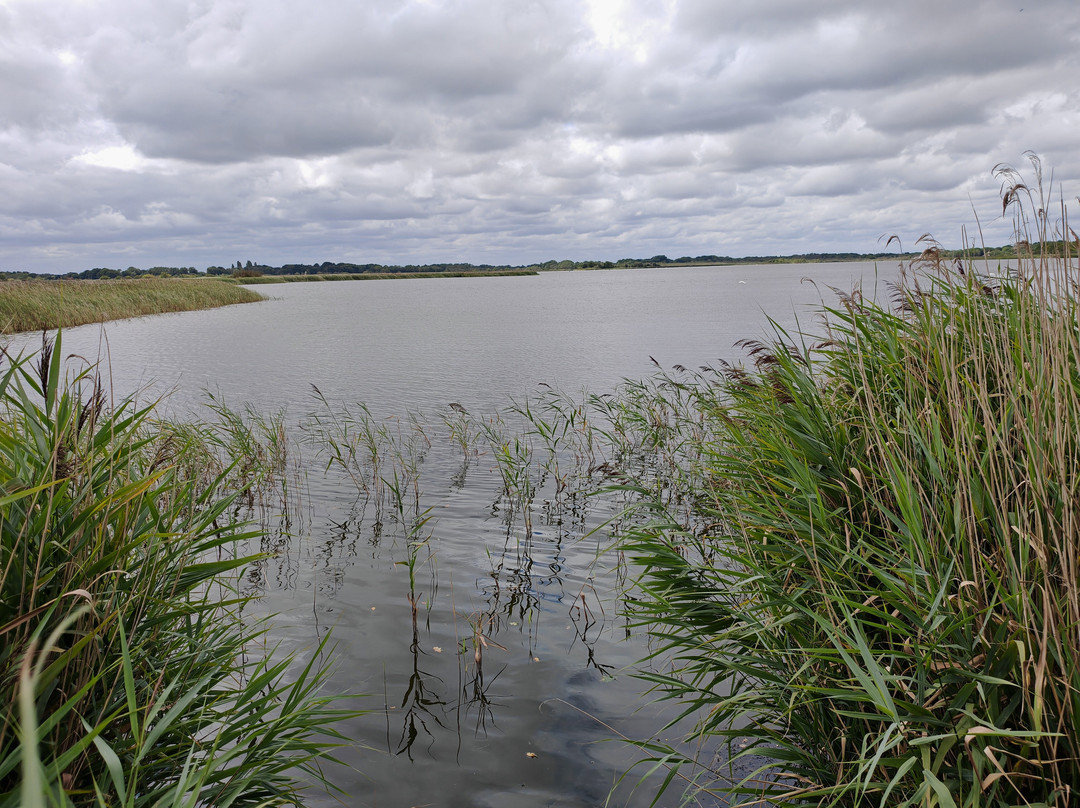 Hickling Broad and Marshes-诺福克郡必去景点