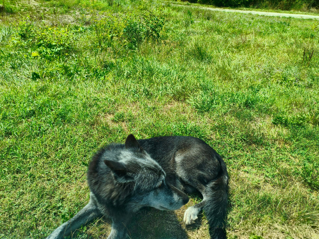Parco Safari delle Langhe-Murazzano必去景点