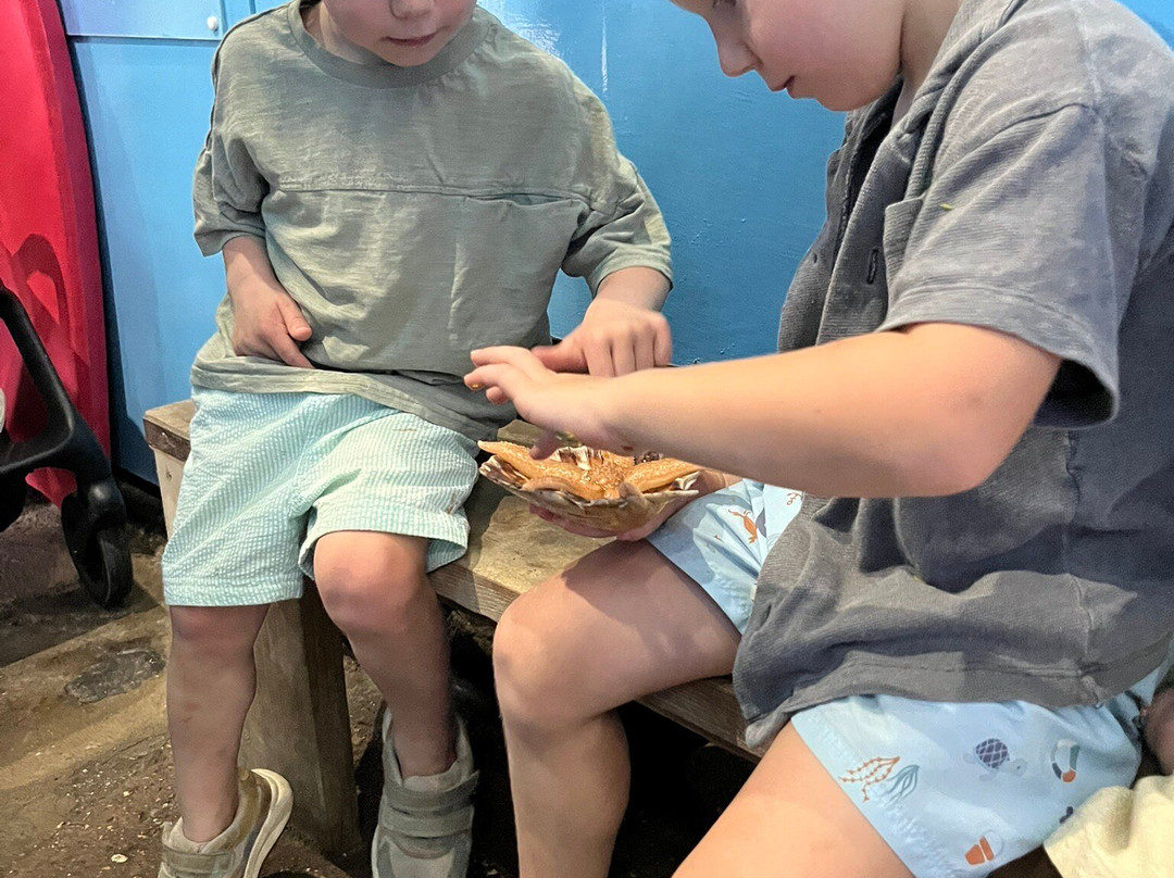 Lyme Regis Marine Aquarium-莱姆里杰斯必去景点