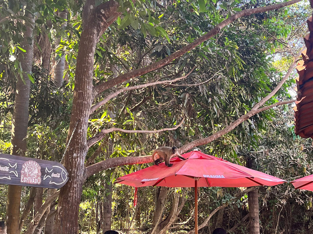 Balneario Estivado-诺布里斯必去景点