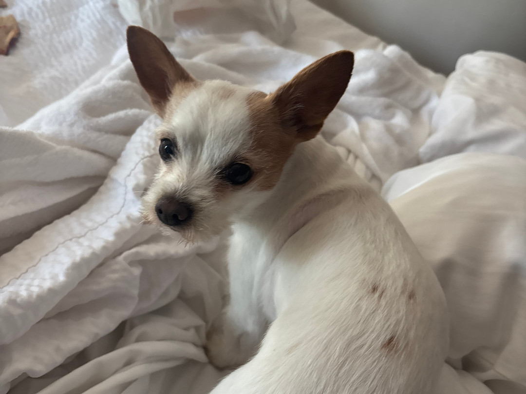 La Quinta Inn & Suites by Wyndham Temecula主图