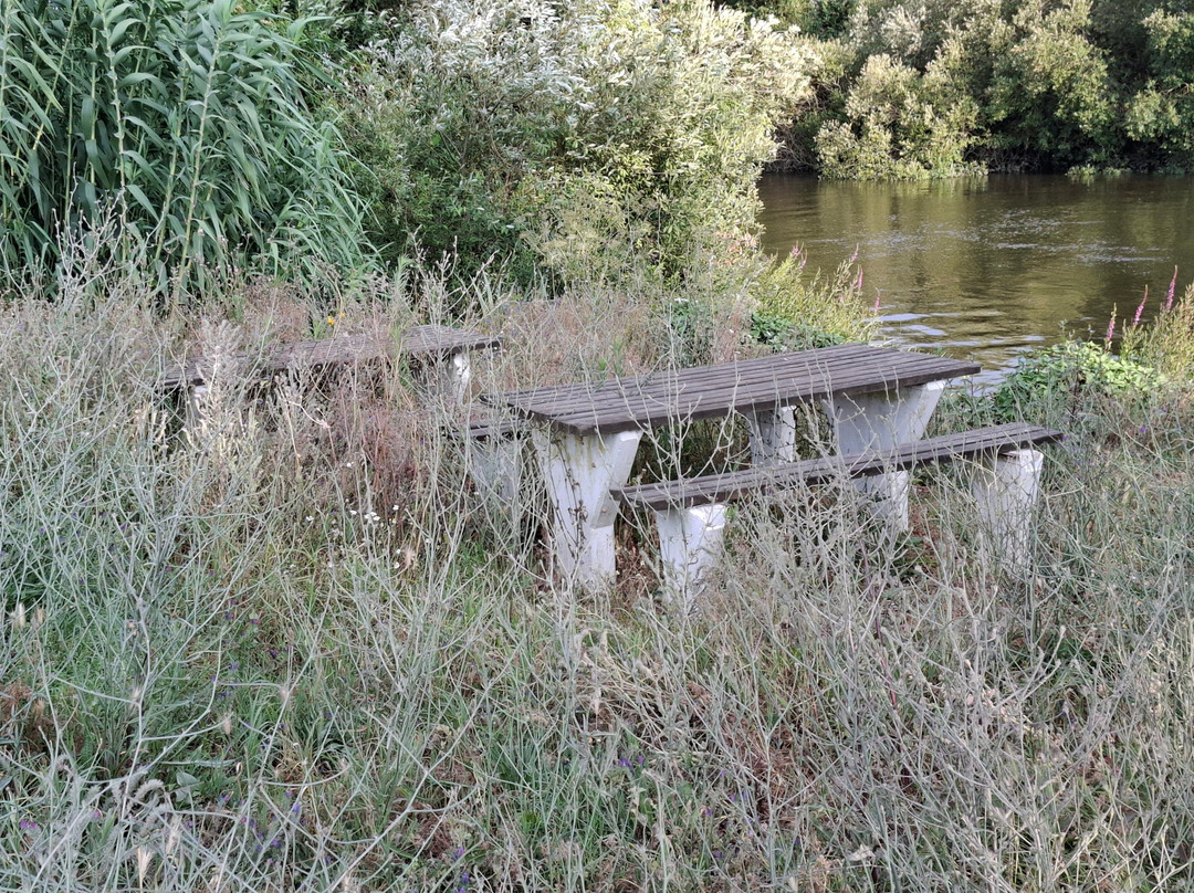 Bico Da Govia-Salvaterra de Magos必去景点