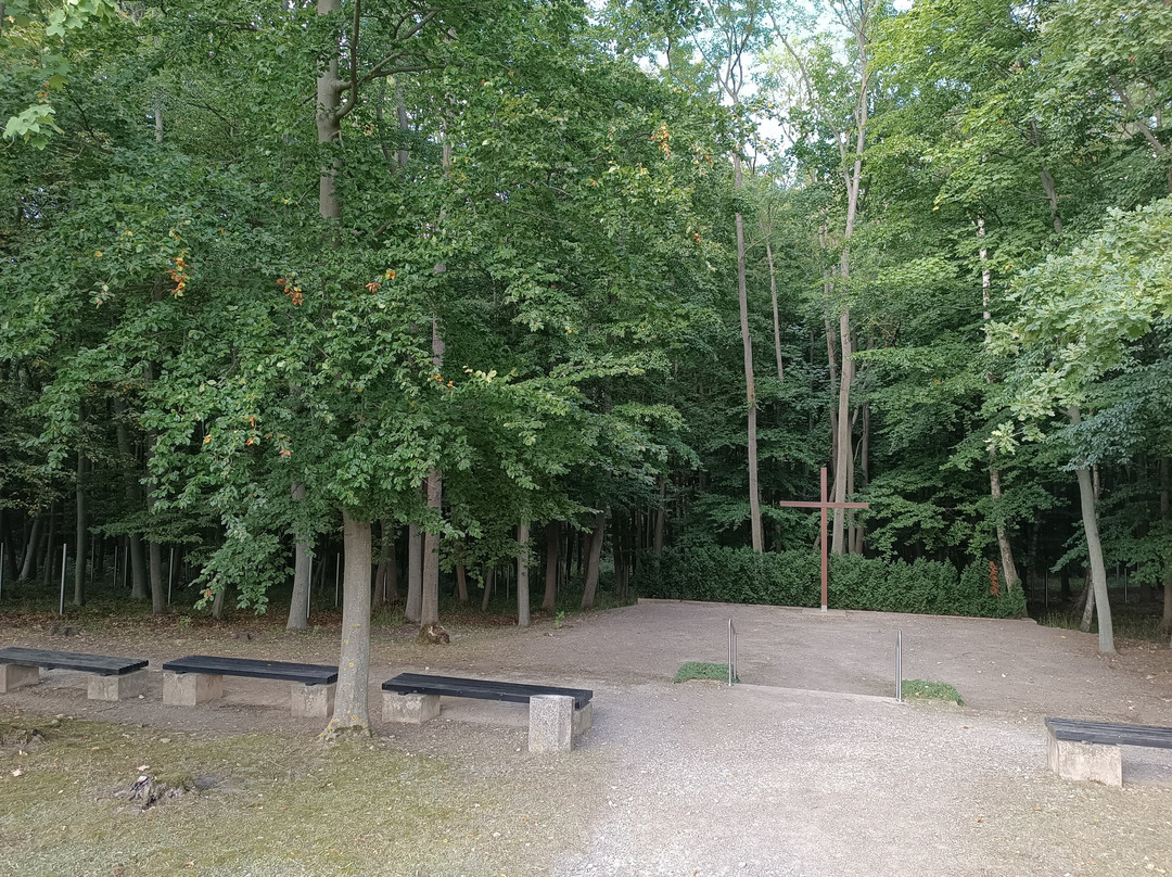 Buchenwald Memorial-魏玛必去景点