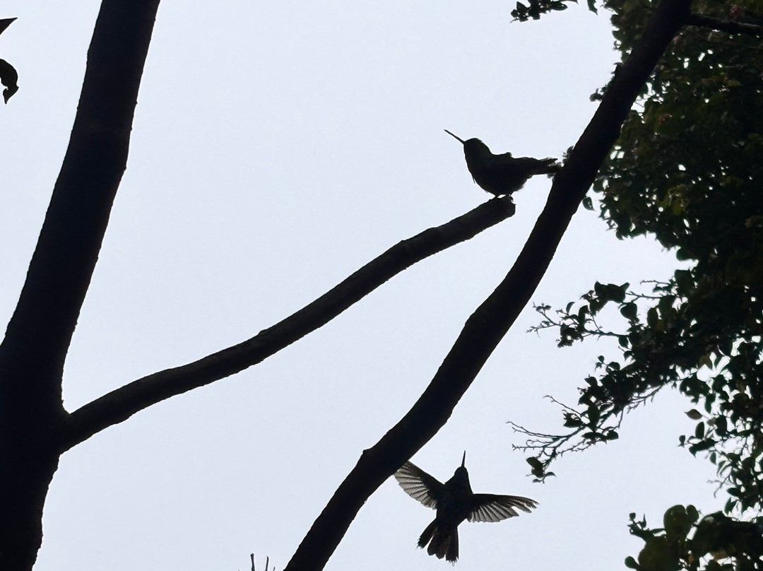 Wild Rider-阿拉辉拉必去景点