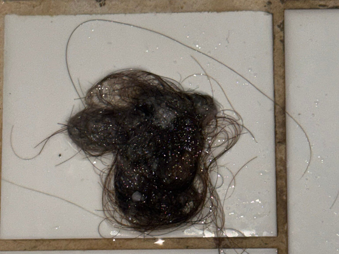 Hotel Restaurant Kuko主图