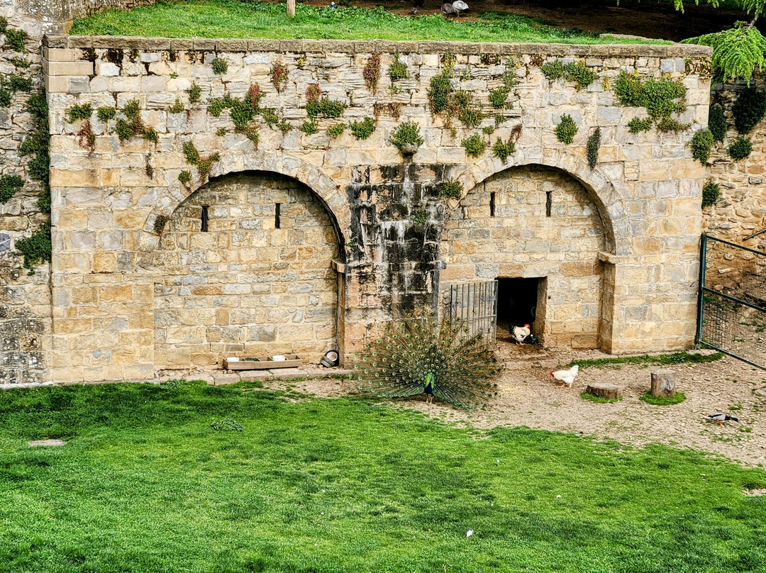 Parque de La Taconera-潘普洛纳必去景点