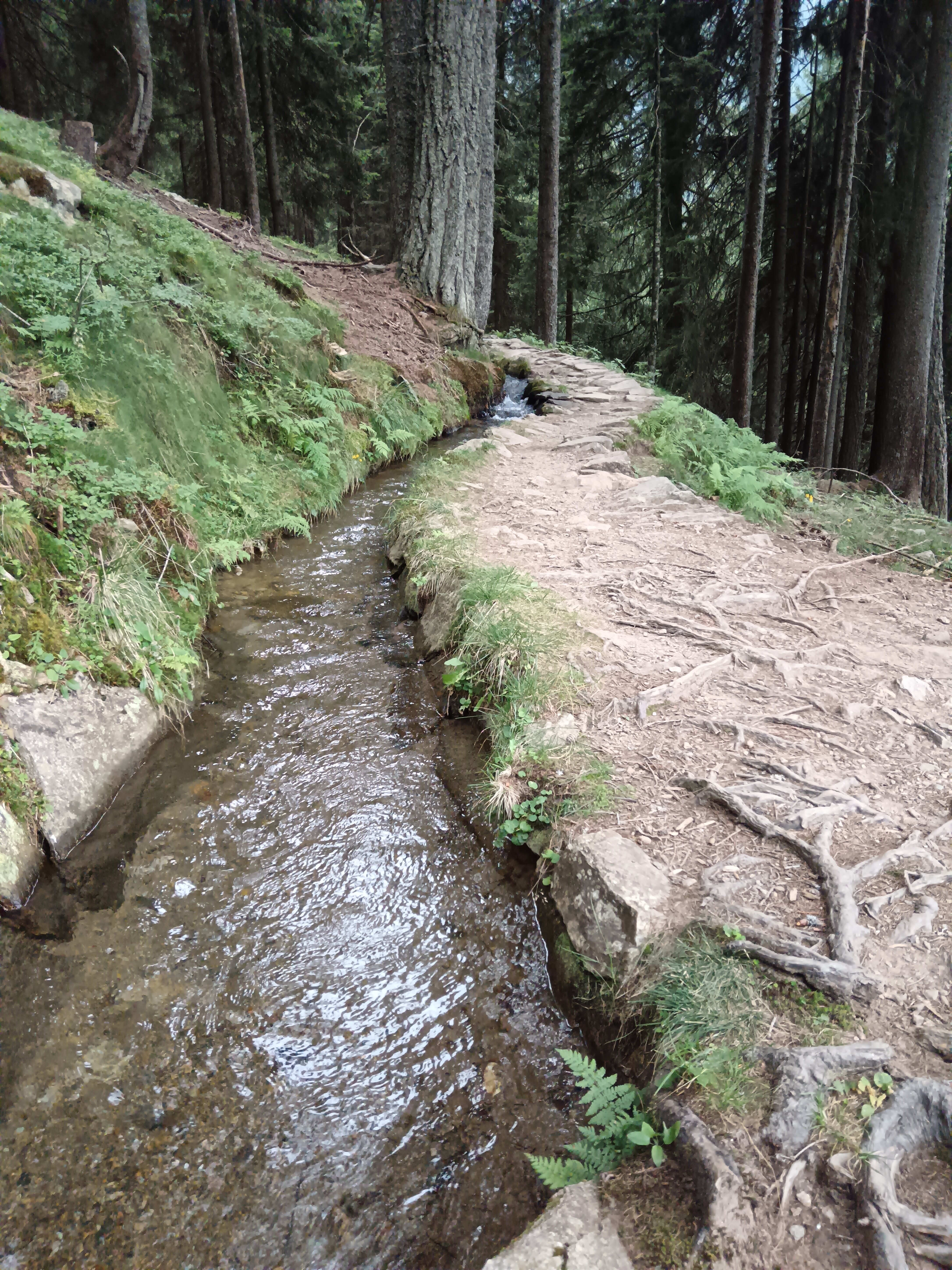 Hotel Tirolerhof-官方