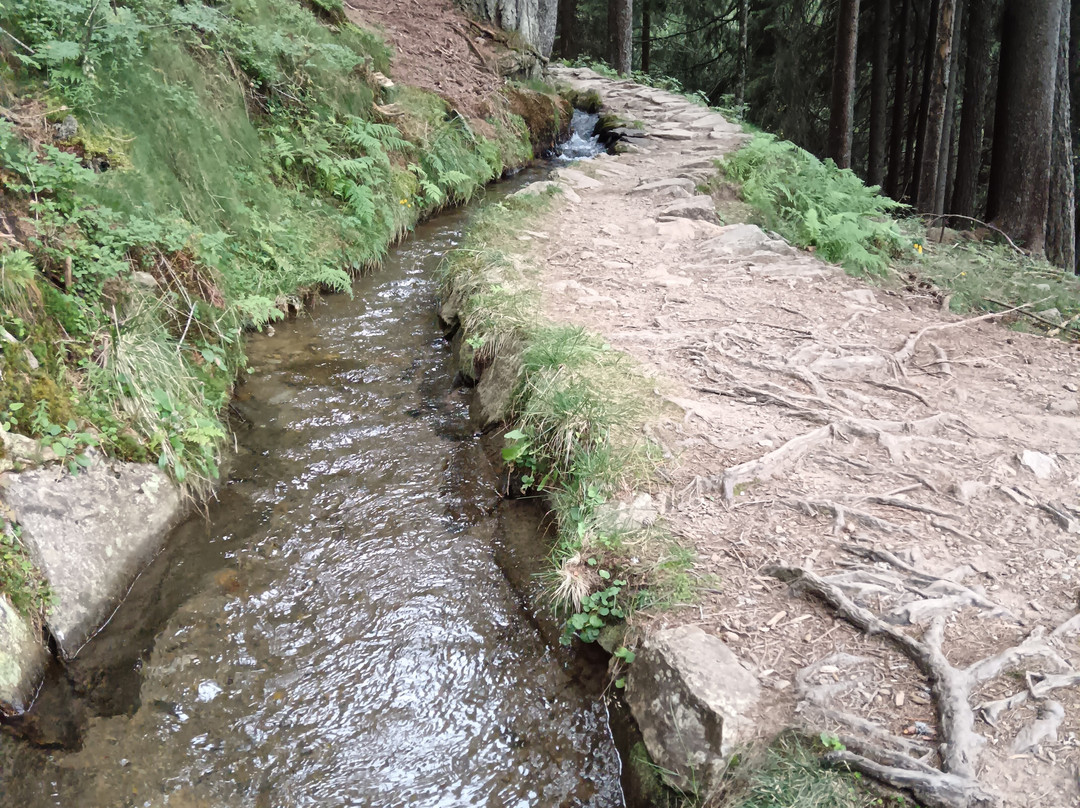 Hotel Tirolerhof主图