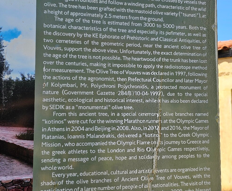 Olive Tree Museum of Vouves-Vouves必去景点