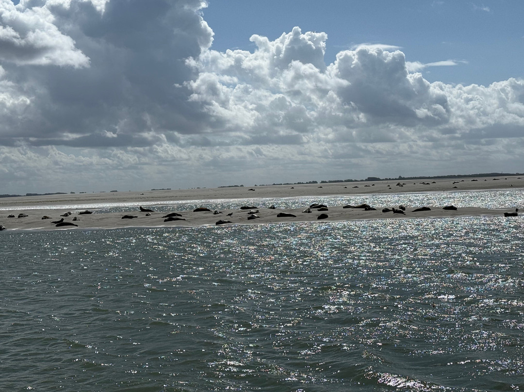Les Phoques de la Baie d'Authie-Berck必去景点