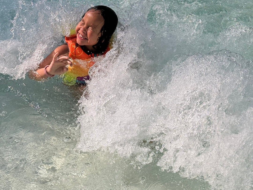 世界水上乐园-埃德蒙顿必去景点