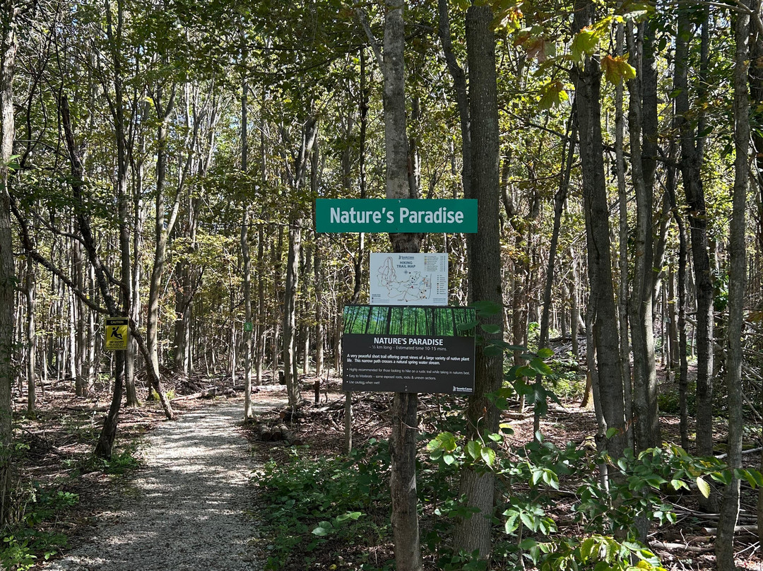 Scenic Caves Nature Adventures-蓝山必去景点