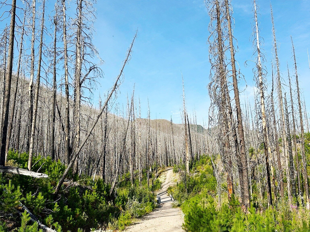 Wall Lake Hike-沃特顿湖国家公园必去景点