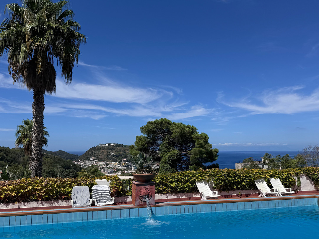 Hotel Pensione Monti主图