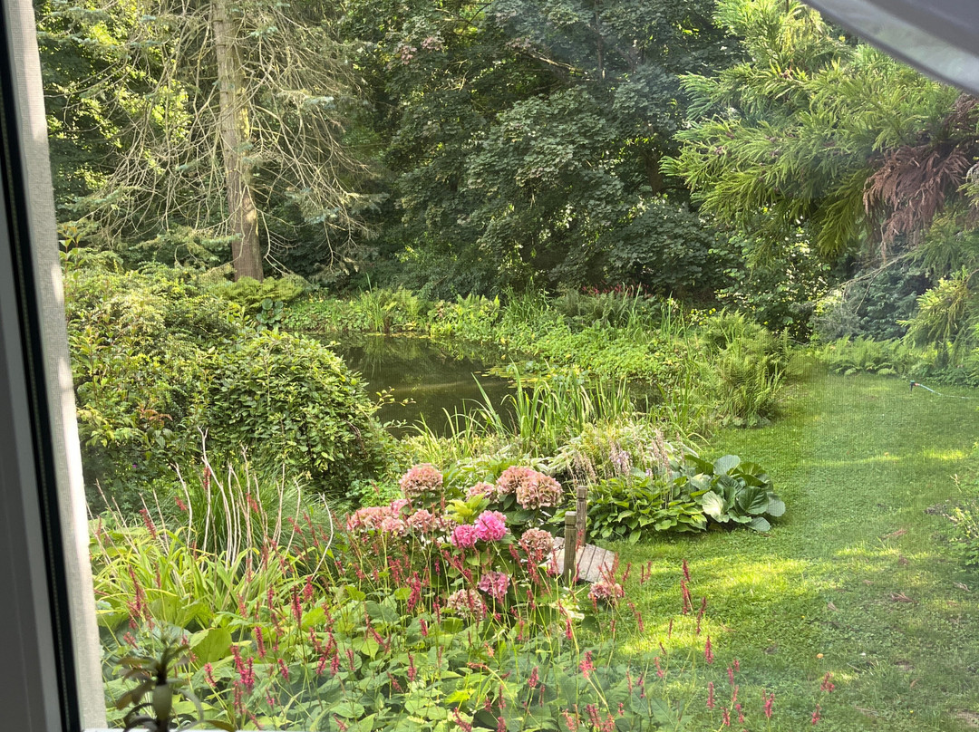 Pension im Forsthaus主图