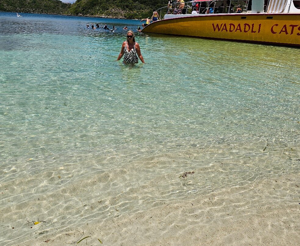 Wadadli Cats-安提瓜必去景点