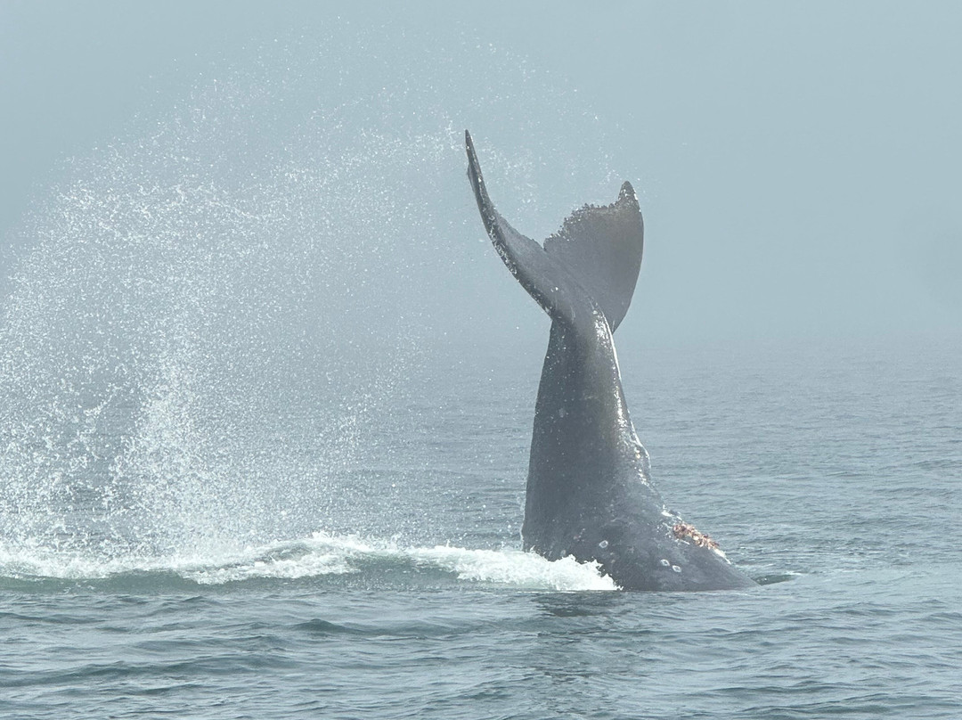 Wooshkeetaan Tours-胡纳必去景点