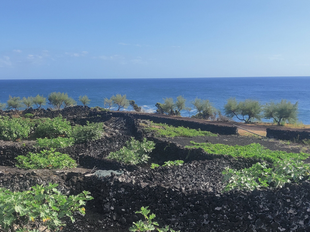 Tripix Azores-Pico必去景点