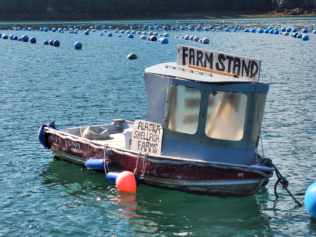 Coldwater Alaska-荷马必去景点