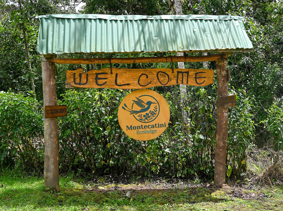 Montecatini Ecolodge