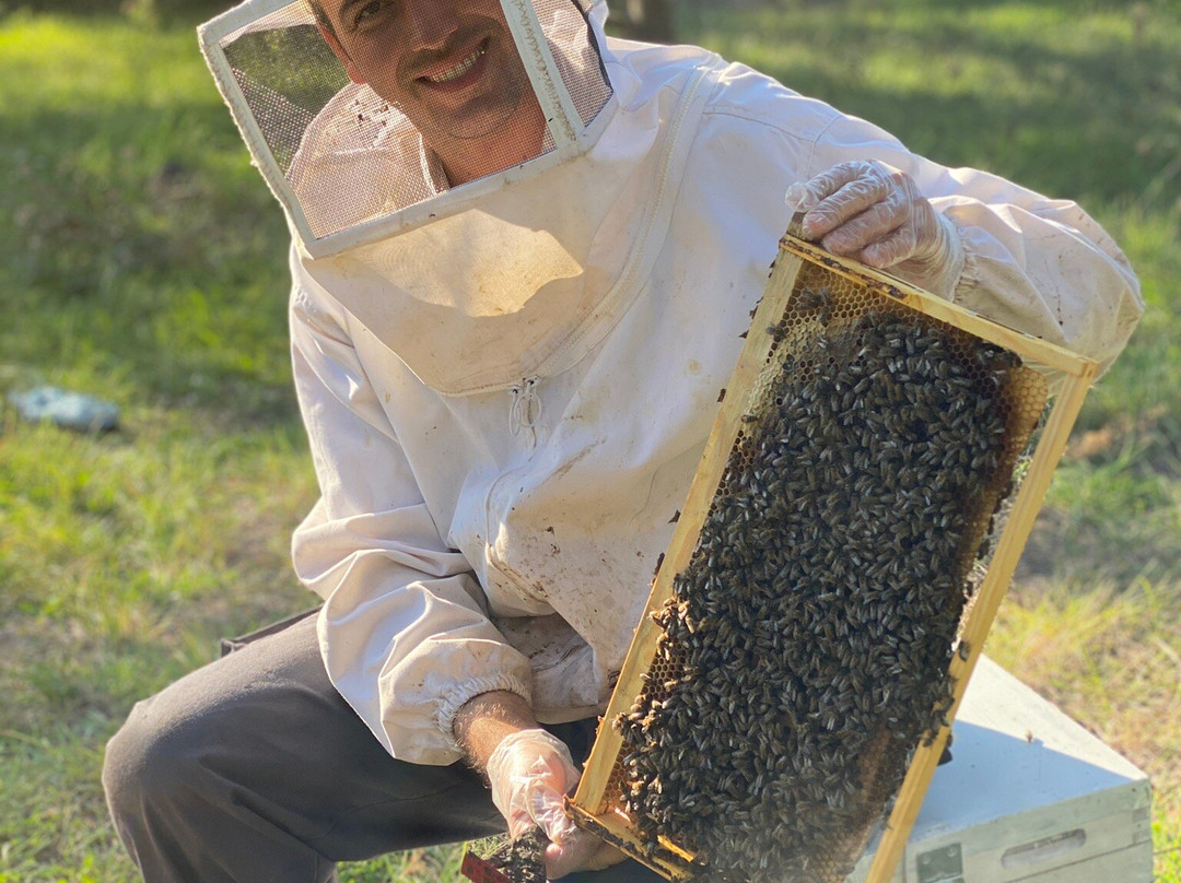 Alimento Corfu Beekeeping Tours-Kanoni必去景点