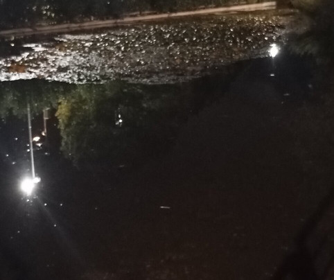 Parco Pegaso-Trodica必去景点