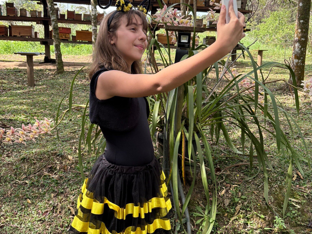 Meliponário Doce Paraíso-Colombo必去景点