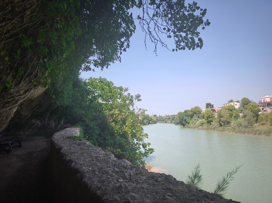 Ruta Botanica-Villarreal必去景点